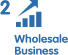 2. Wholesale Business